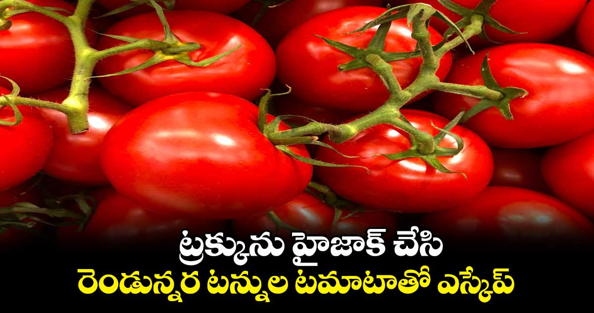 ట్రక్కును హైజాక్ చేసి రెండున్నర టన్నుల టమాటాతో ఎస్కేప్