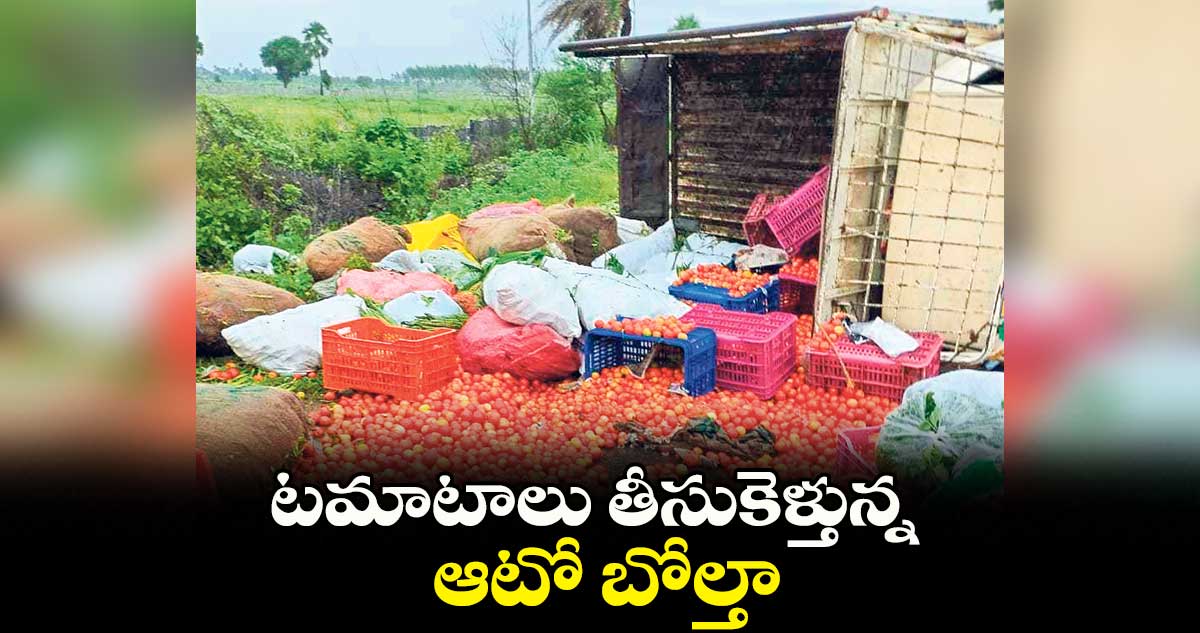 టమాటాలు తీసుకెళ్తున్నఆటో బోల్తా