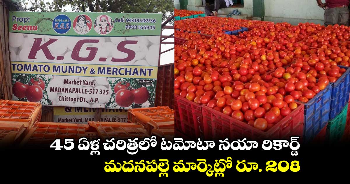 45 ఏళ్ల చరిత్రలో టమోటా నయా రికార్డ్ ... మదనపల్లె మార్కెట్లో రూ. 208
