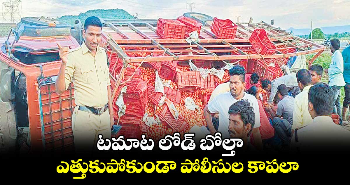 టమాట లోడ్ బోల్తా... ఎత్తుకుపోకుండా పోలీసుల కాపలా