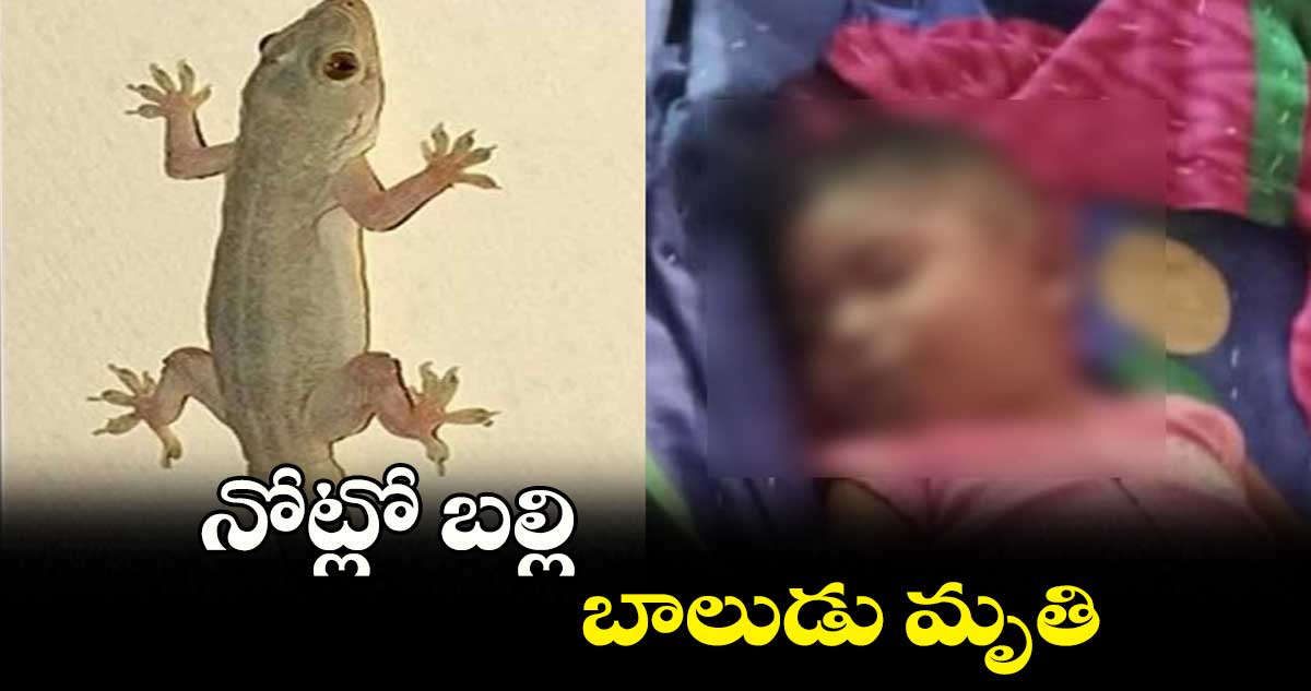 నోట్లో బల్లి ... బాలుడు మృతి