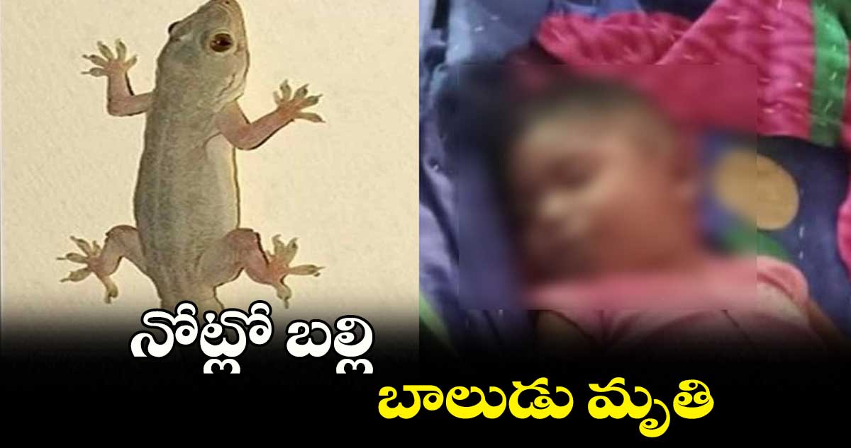  నోట్లో బల్లి ... బాలుడు మృతి