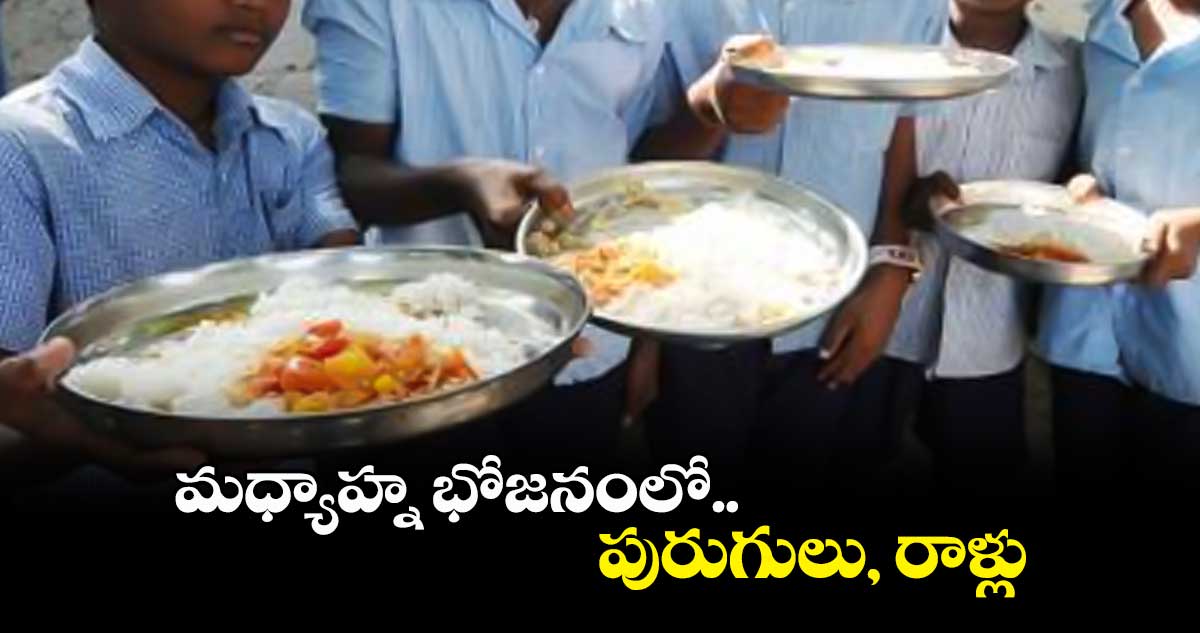 మధ్యాహ్న భోజనంలో.. పురుగులు, రాళ్లు