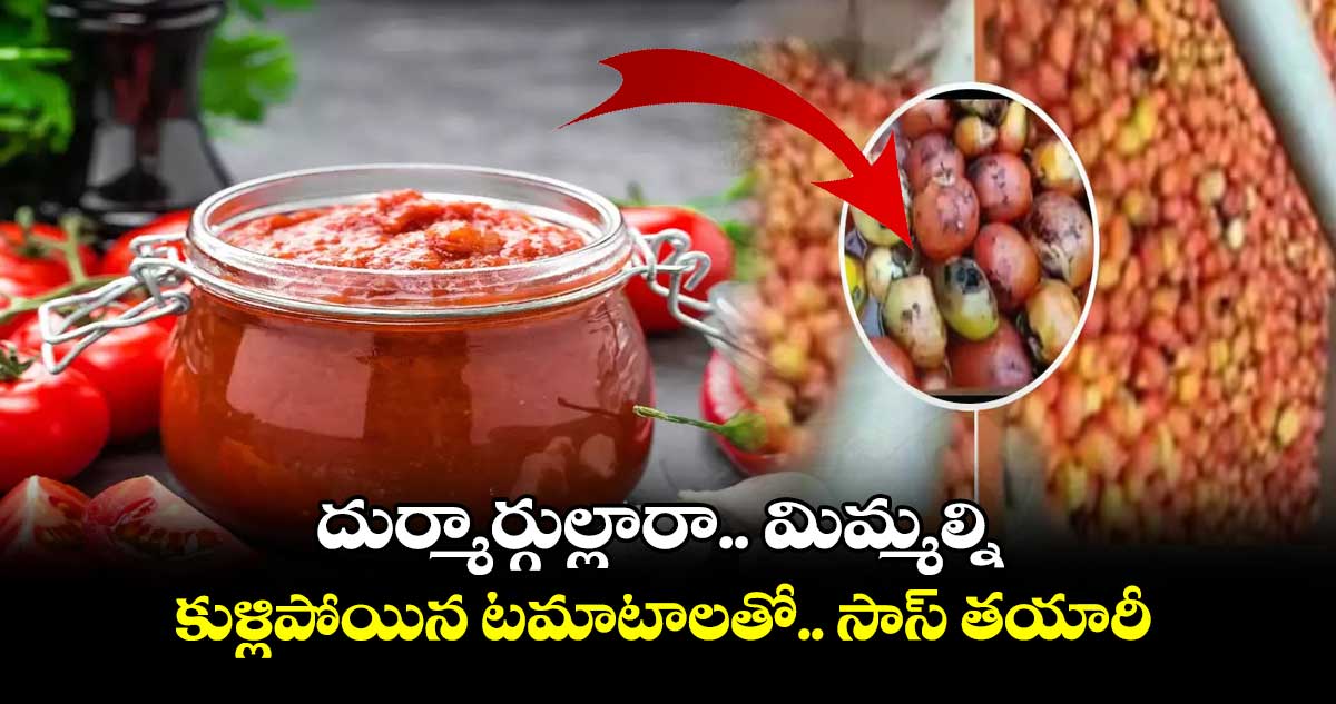 దుర్మార్గుల్లారా.. మిమ్మల్ని.. : కుళ్లిపోయిన టమాటాలతో.. సాస్ తయారీ..