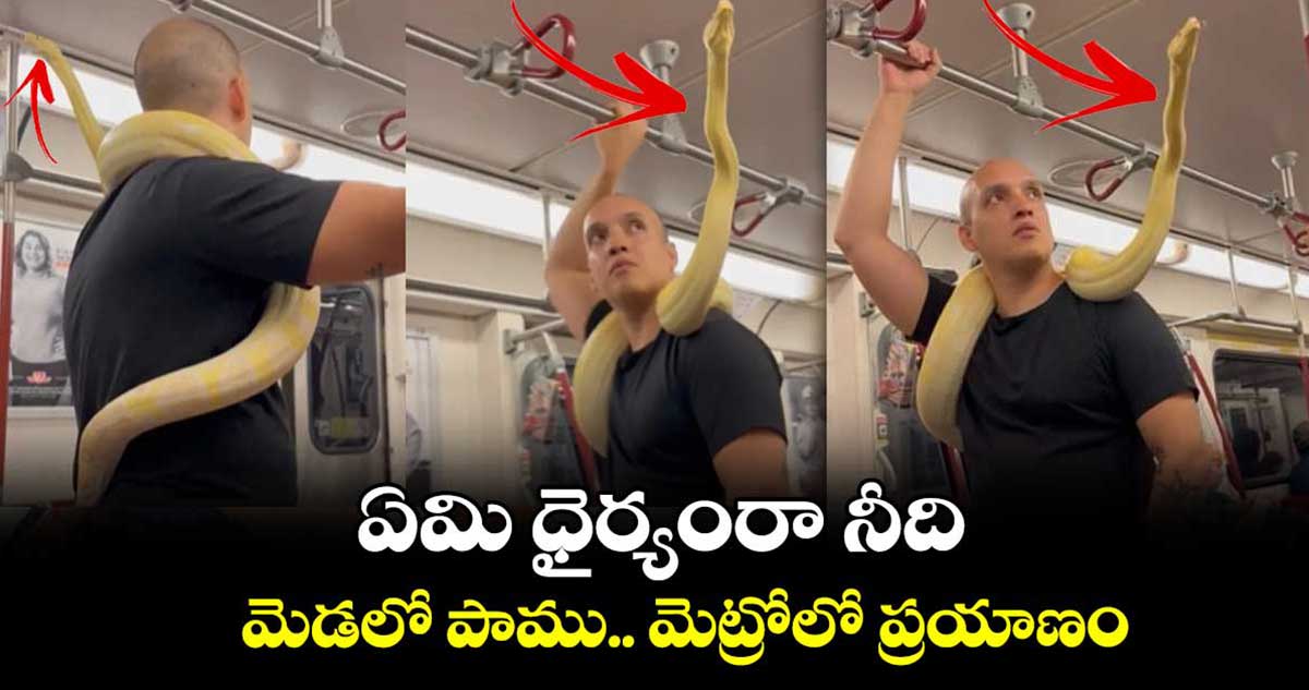 ఏమి ధైర్యంరా నీది: మెడలో పాము.. మెట్రోలో ప్రయాణం
