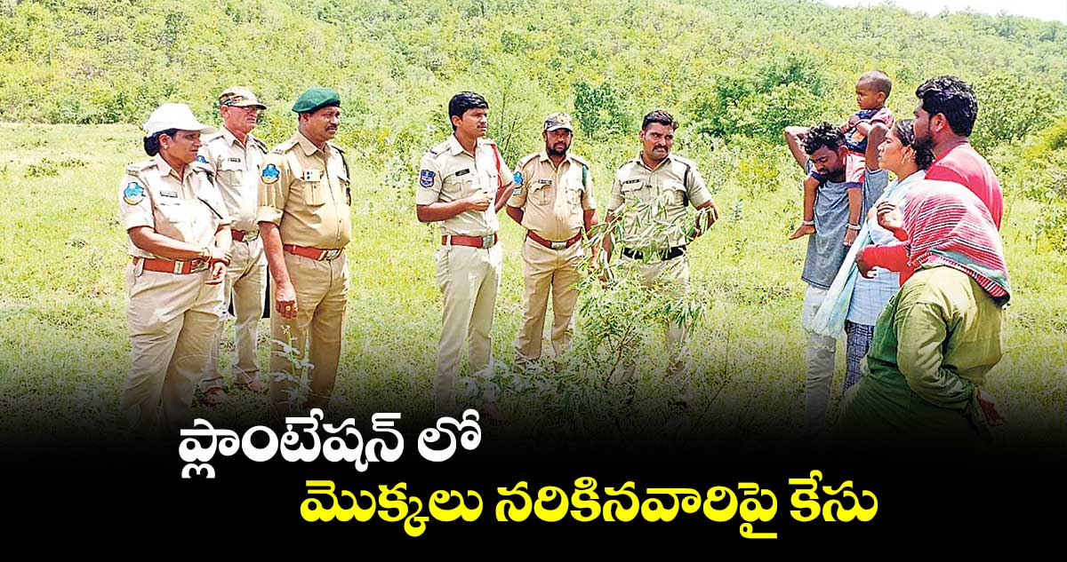 ప్లాంటేషన్ లో మొక్కలు నరికినవారిపై కేసు 