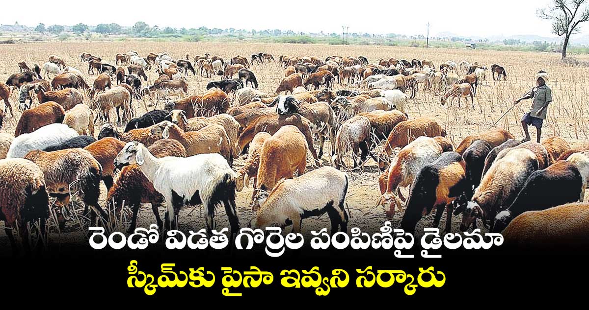 రెండో విడత గొర్రెల పంపిణీపై డైలమా.. స్కీమ్ అమలు చేసేందుకు నిధుల్లేవ్