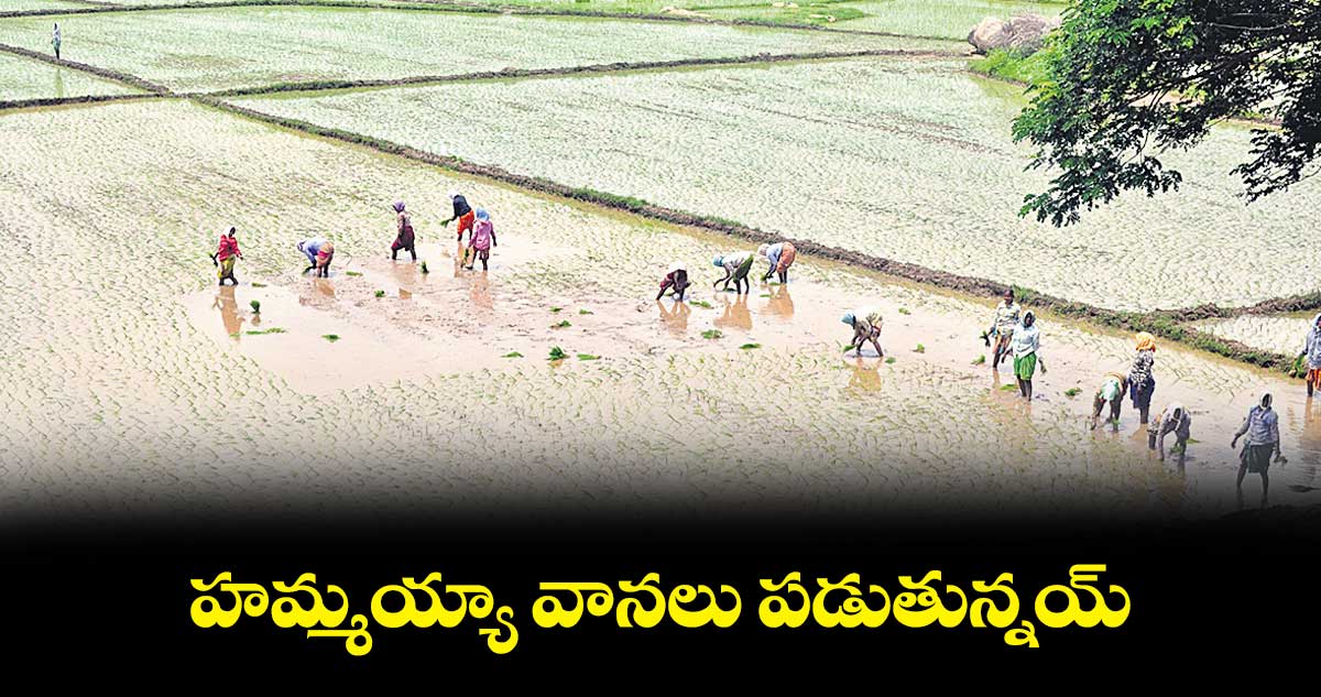 హమ్మయ్యా..  వానలు పడుతున్నయ్