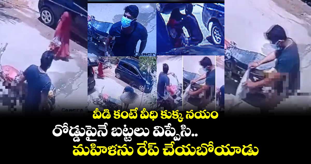 వీడి కంటే వీధి కుక్క నయం..: రోడ్డుపైనే బట్టలు విప్పేసి.. మహిళను రేప్ చేయబోయాడు