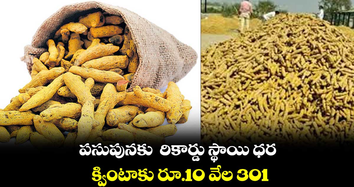 పసుపునకు  రికార్డు స్థాయి ధర ..  క్వింటాకు రూ.10 వేల 301