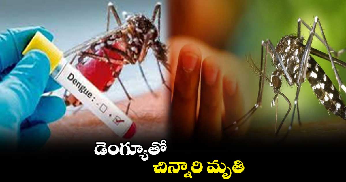 హనుమకొండ జిల్లాలో డెంగ్యూతో చిన్నారి మృతి