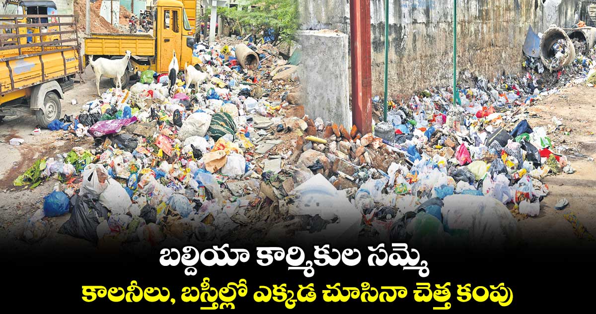 బల్దియా కార్మికుల సమ్మె.. కాలనీలు, బస్తీల్లో ఎక్కడ చూసినా చెత్త కంపు  
