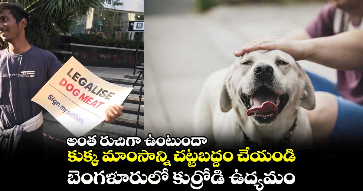 కుక్క మాంసాన్ని చట్టబద్దం చేయండి.. బెంగళూరులో కుర్రోడి ఉద్యమం