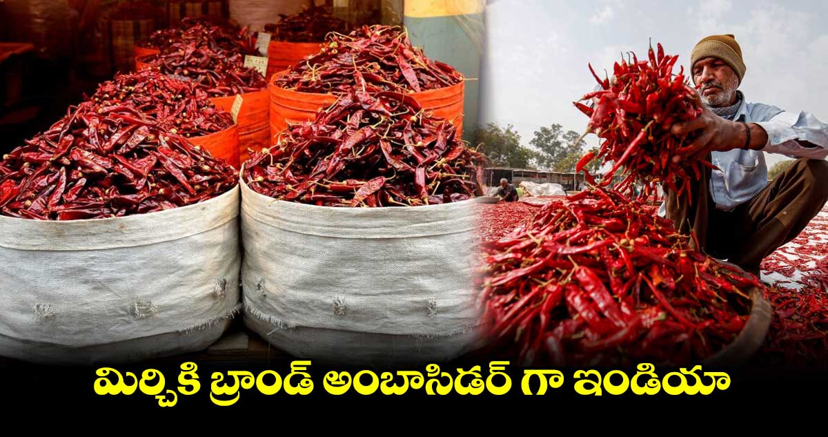 మిర్చికి బ్రాండ్ అంబాసిడర్ గా ఇండియా