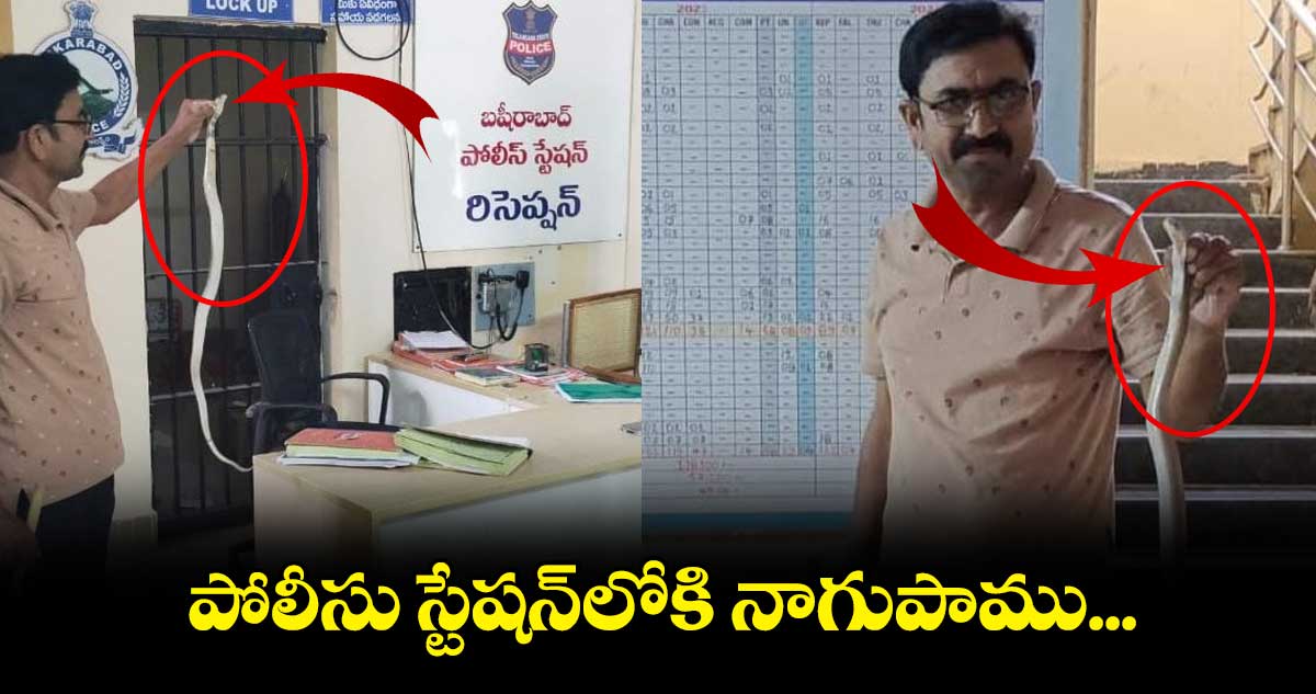 బషీరాబాద్ పోలీసు స్టేషన్⁬లోకి నాగుపాము...