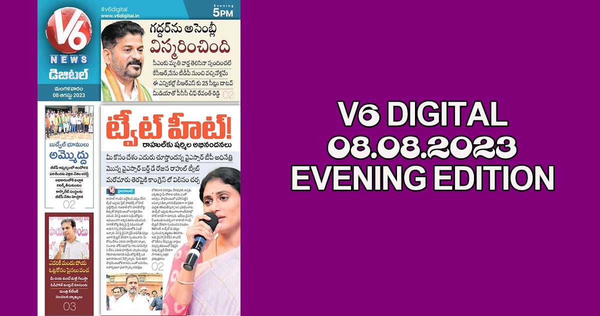 V6 DIGITAL 08.08.2023 EVENING EDITION