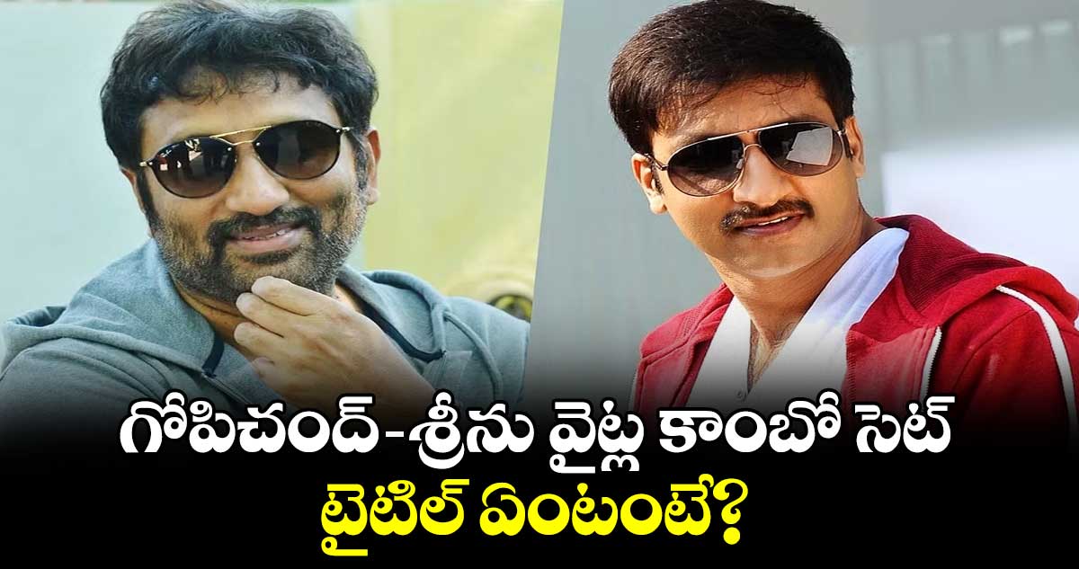 గోపిచంద్-శ్రీను వైట్ల కాంబో సెట్.. టైటిల్ ఏంటంటే?