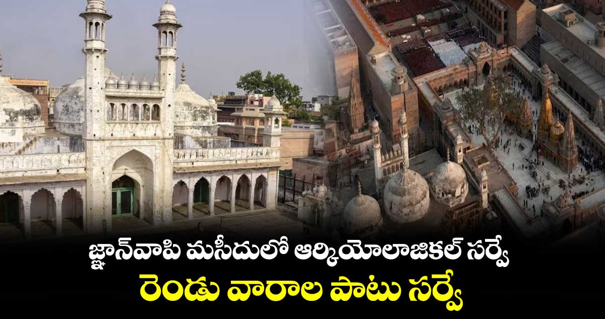 జ్ఞాన్‌వాపి మసీదులో ఆర్కియోలాజికల్ సర్వే.. రెండు వారాల పాటు సర్వే 