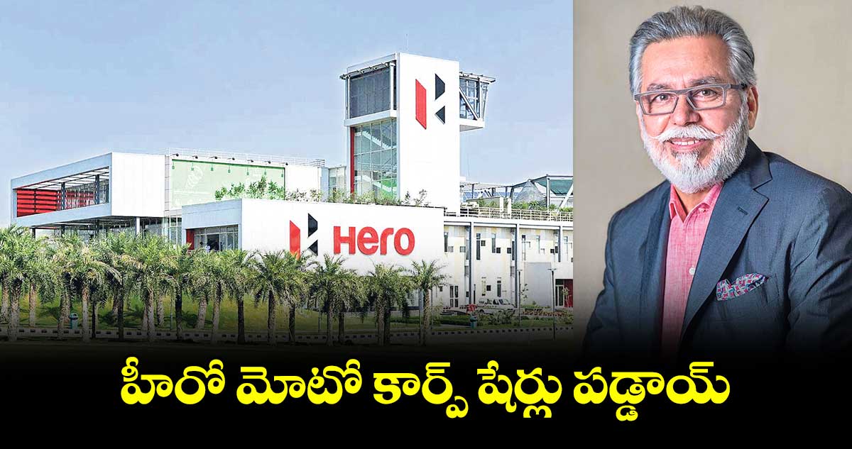 హీరో మోటో కార్ప్ షేర్లు పడ్డాయ్