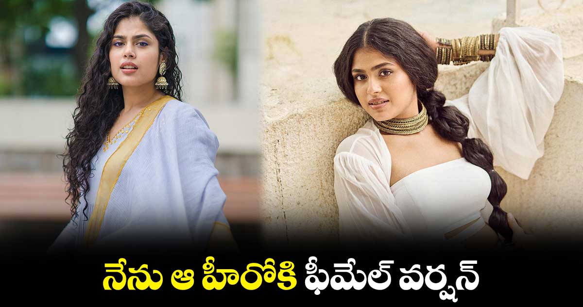 నేను ఆ హీరోకి ఫీమేల్ వర్షన్..