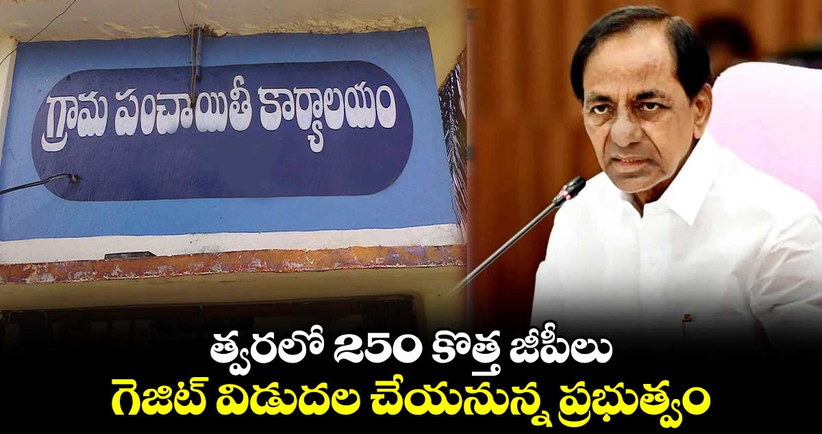 తెలంగాణలో 250 కొత్త గ్రామ పంచాయతీలు : గెజిట్ విడుదల