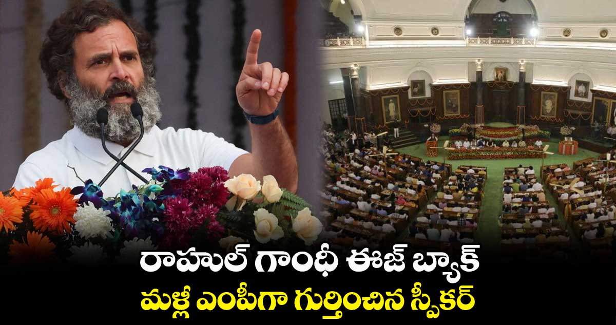 రాహుల్ గాంధీ ఈజ్ బ్యాక్ : మళ్లీ ఎంపీగా గుర్తించిన స్పీకర్