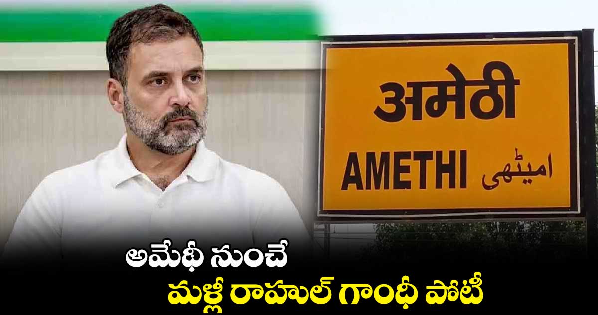 అమేథీ నుంచే రాహుల్ పోటీ కాంగ్రెస్ యూపీ చీఫ్ రాయ్ వెల్లడి