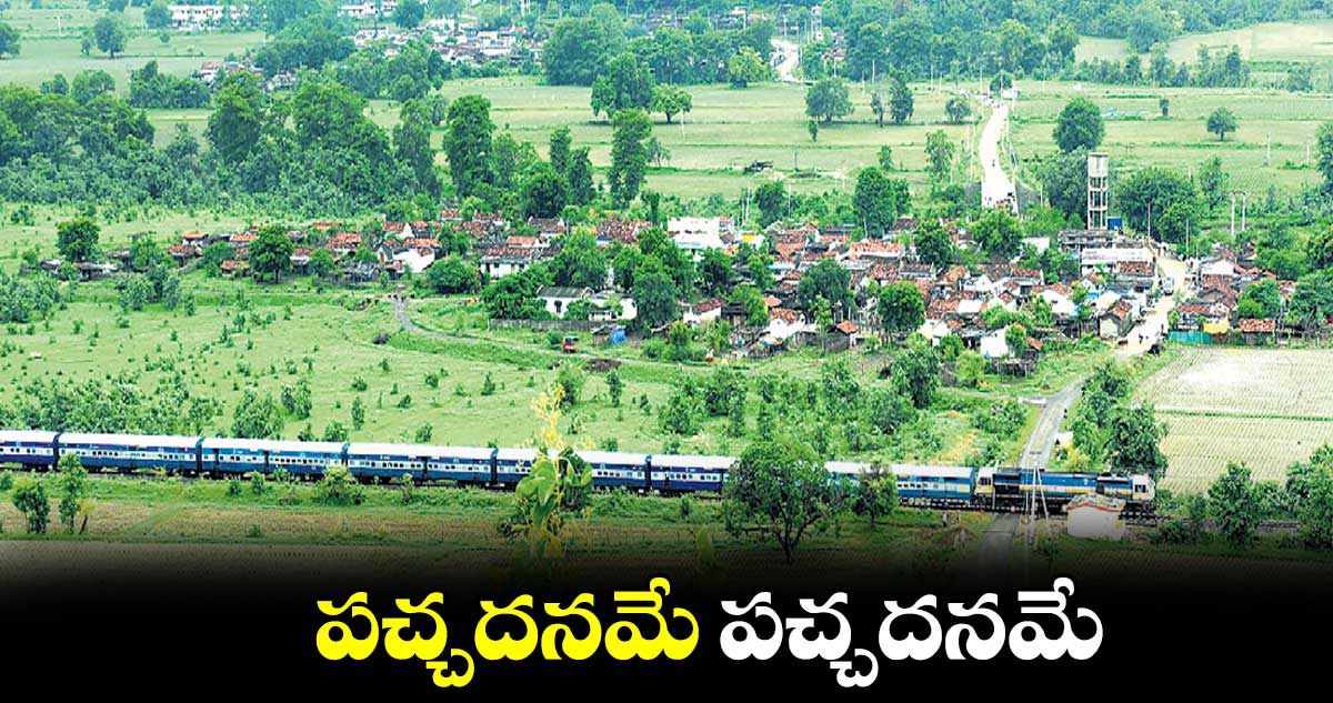 పచ్చదనమే పచ్చదనమే...