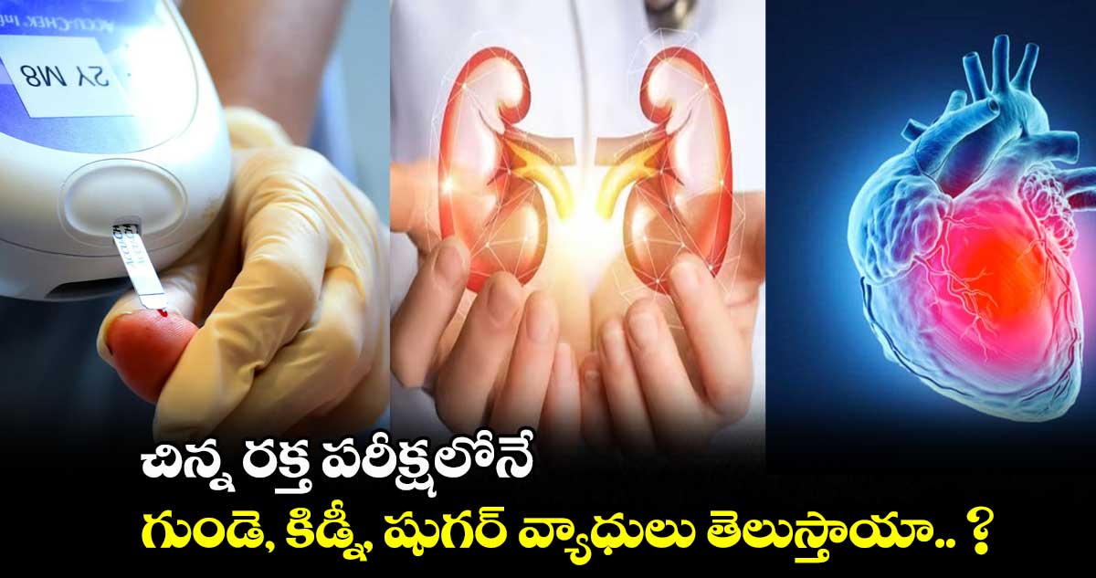 చిన్న రక్త పరీక్షలోనే.. గుండె, కిడ్నీ, షుగర్ వ్యాధులు తెలుస్తాయా.. ?