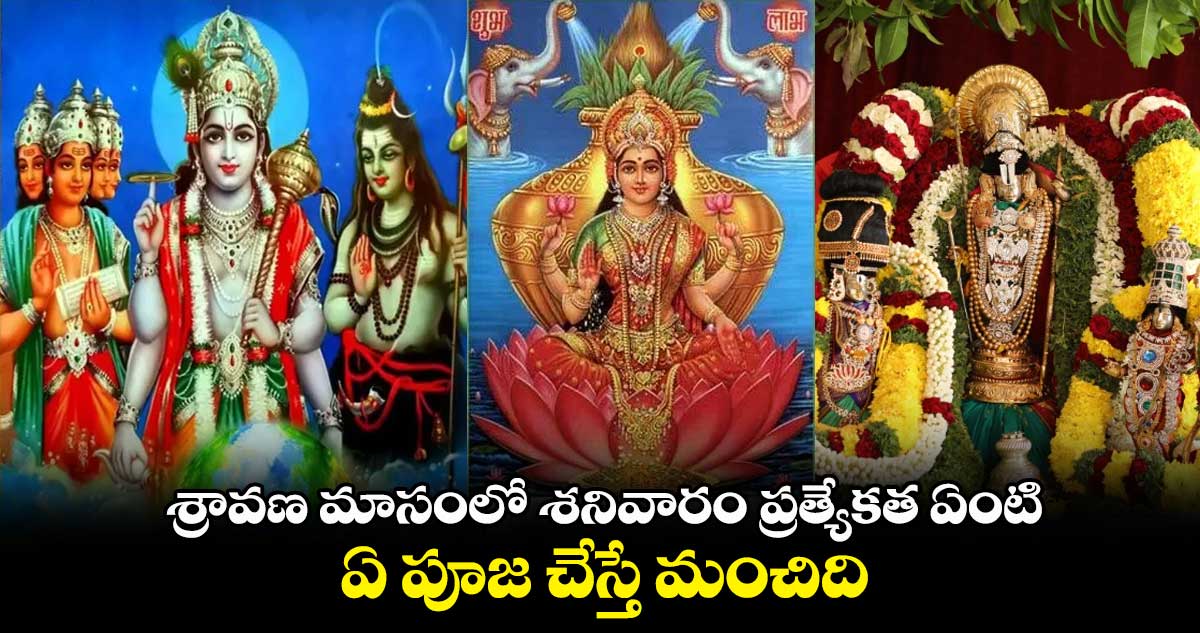 శ్రావణ మాసంలో  శనివారం ప్రత్యేకత ఏంటి... ఏ పూజ చేస్తే మంచిది