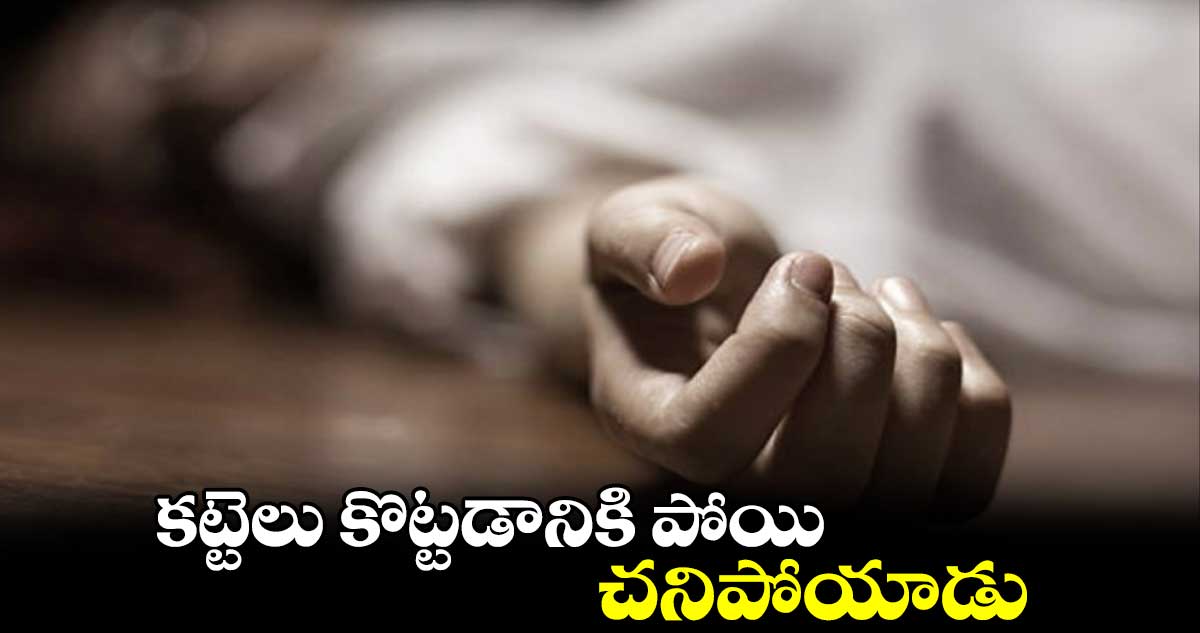 కట్టెలు కొట్టడానికి పోయి చనిపోయాడు