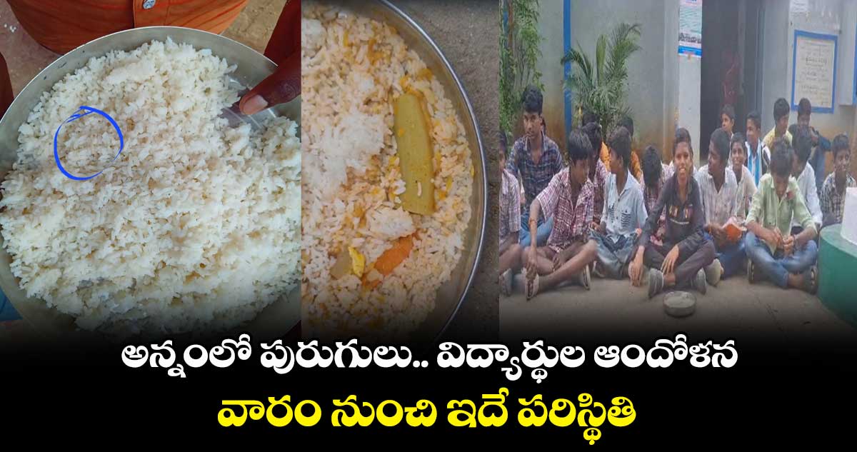 హాలియా జెడ్పీ హైస్కూల్ లో విద్యార్థుల ఆందోళన.. పురుగుల అన్నం వడ్డిస్తున్నారంటూ నిరసన