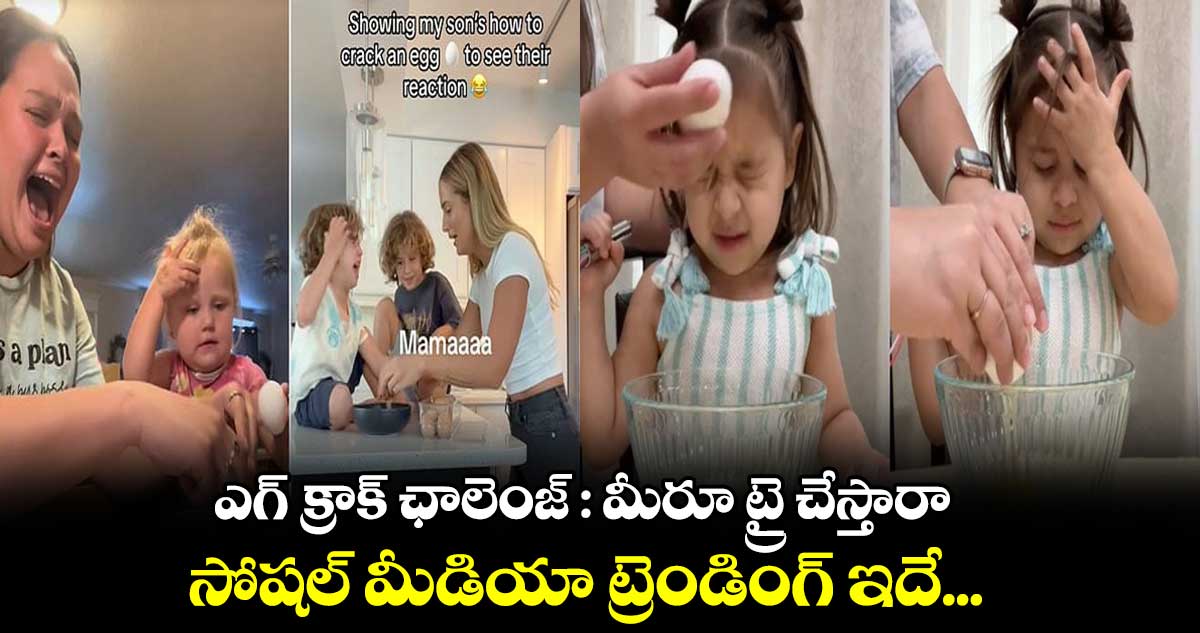 ఎగ్ క్రాక్ ఛాలెంజ్ : మీరూ ట్రై చేస్తారా.. : సోషల్ మీడియా ట్రెండింగ్ ఇదే...