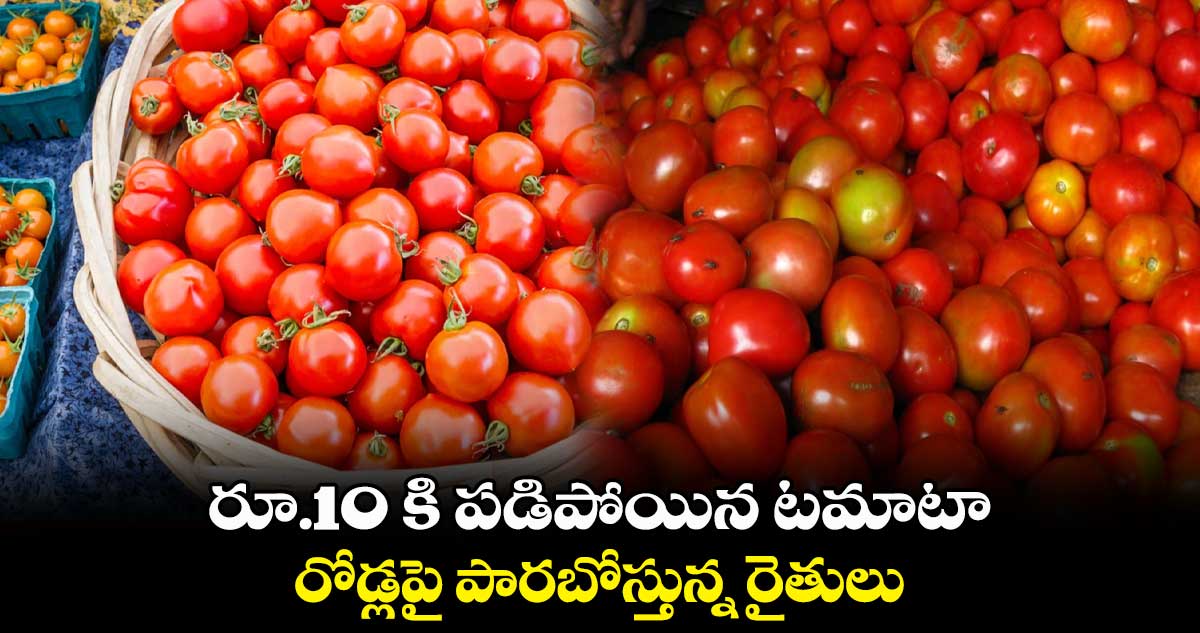 రూ.10 కి పడిపోయిన టమాటా.. రోడ్లపై పారబోస్తున్న రైతులు