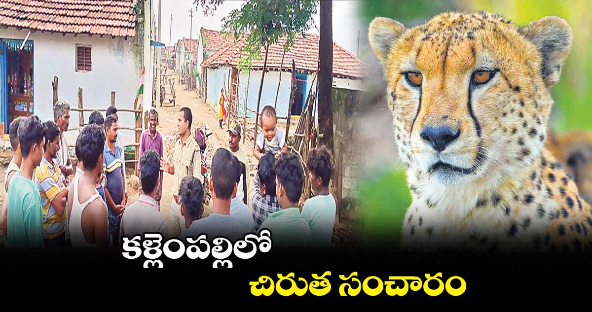 కళ్లెంపల్లిలో చిరుత సంచారం