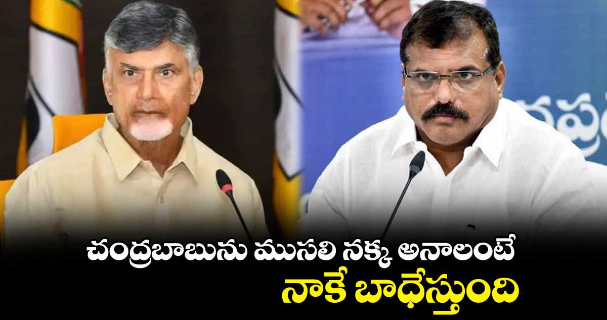 చంద్రబాబును ముసలి నక్క అనాలంటే నాకే బాధేస్తుంది: మంత్రి బొత్స