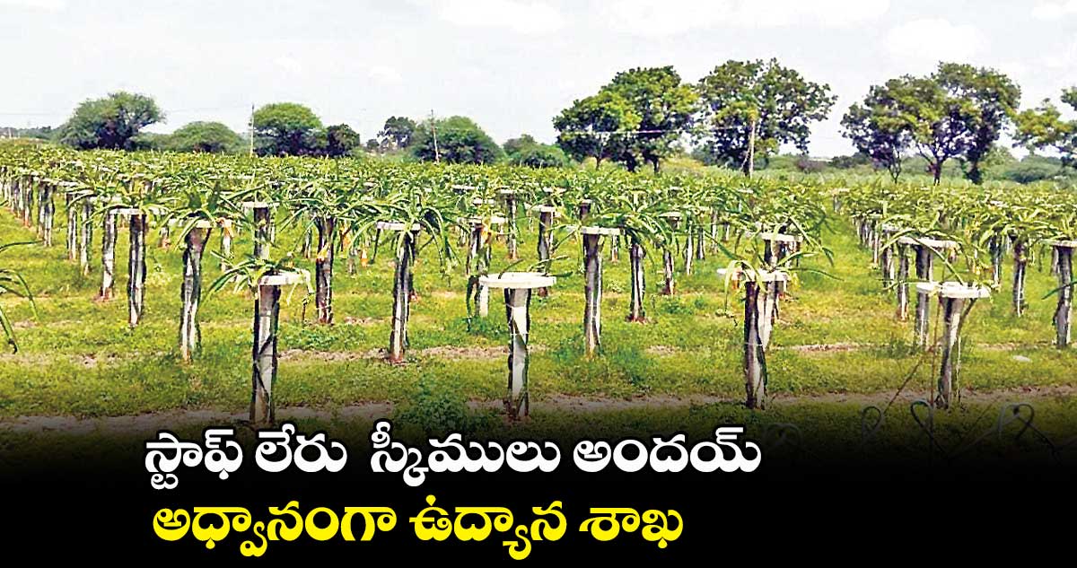 స్టాఫ్​ లేరు  స్కీములు అందయ్​.. అధ్వానంగా ఉద్యాన శాఖ 