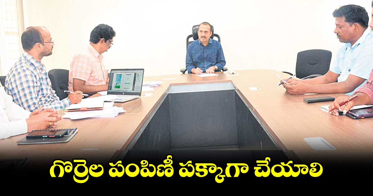 గొర్రెల పంపిణీ పక్కాగా చేయాలి : ప్రశాంత్ జీవన్ పాటిల్