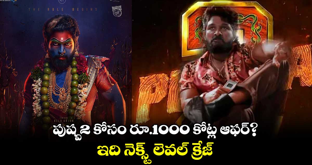 పుష్ప2 కోసం రూ.1000 కోట్ల ఆఫర్?.. ఇది నెక్స్ట్ లెవల్ క్రేజ్