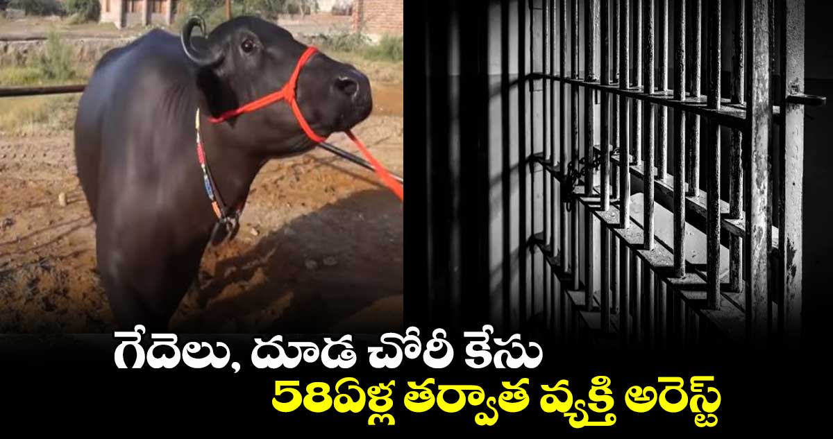 గేదెలు, దూడ చోరీ కేసు.. 58ఏళ్ల తర్వాత వ్యక్తి అరెస్ట్