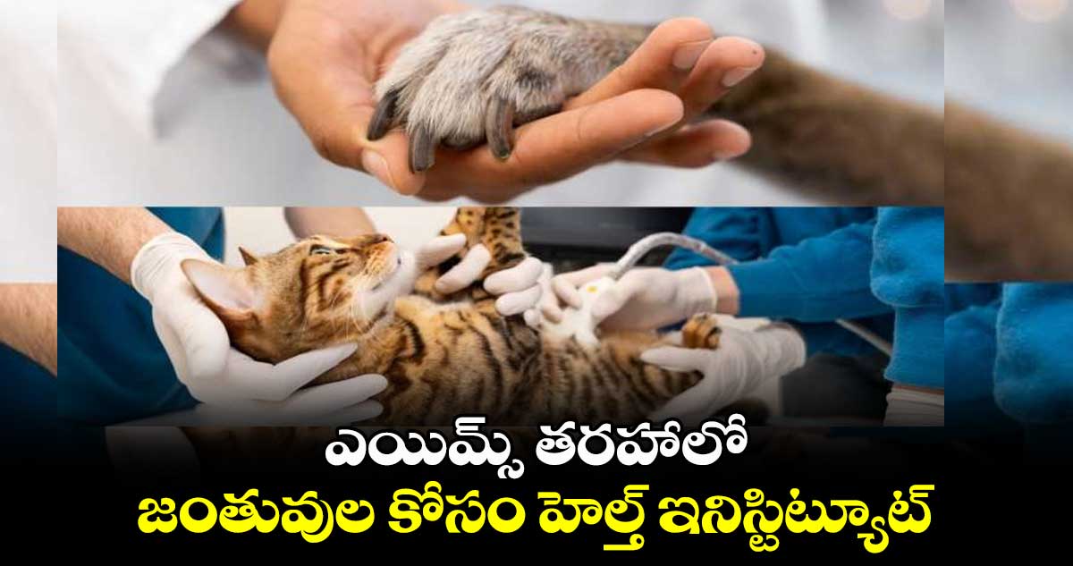 ఎయిమ్స్ తరహాలో జంతువుల కోసం హెల్త్ ఇనిస్టిట్యూట్