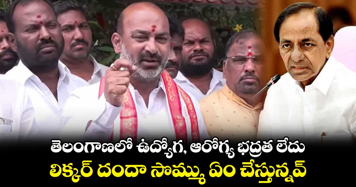 తెలంగాణలో ఉద్యోగ, ఆరోగ్య భద్రత లేదు.. లిక్కర్ దందా సొమ్ము ఏం చేస్తున్నవ్