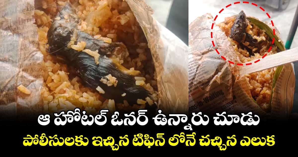 ఆ హోటల్ ఓనర్ ఉన్నారు చూడు.. : పోలీసులకు ఇచ్చిన టిఫిన్ లోనే చచ్చిన ఎలుక..