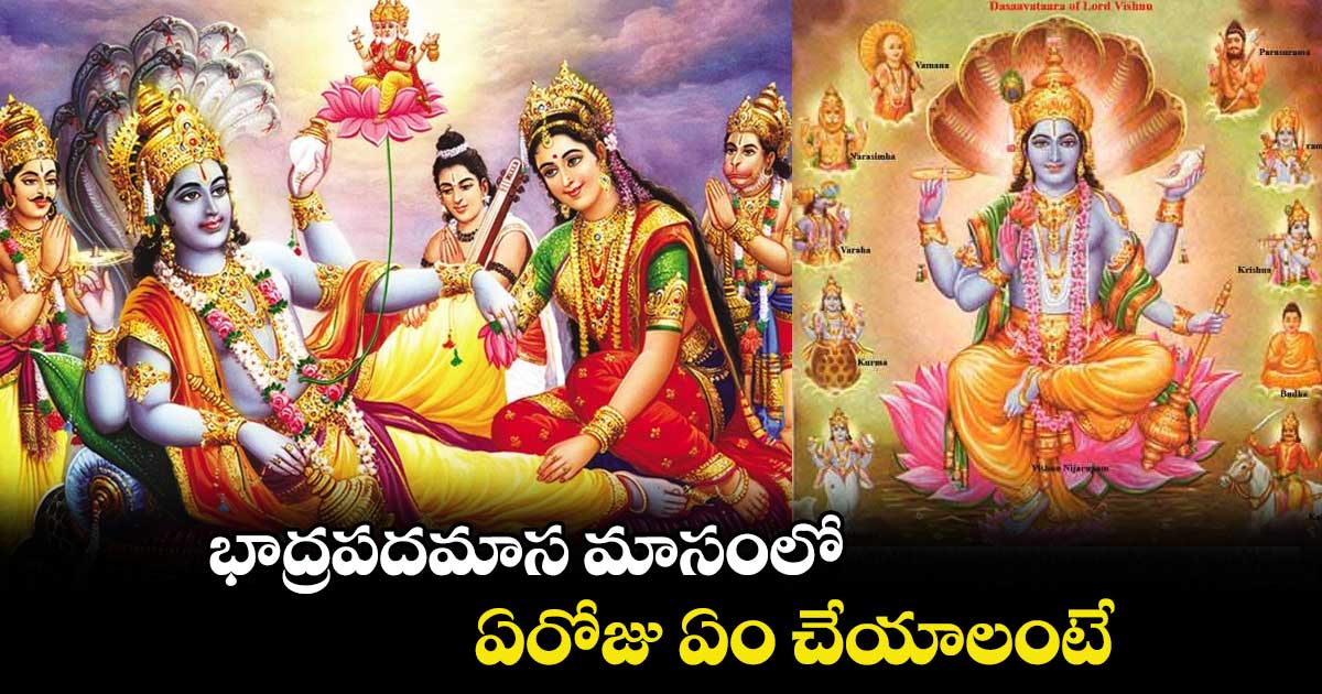 భాద్రపదమాస మాసంలో ఏరోజు ఏం చేయాలంటే... 