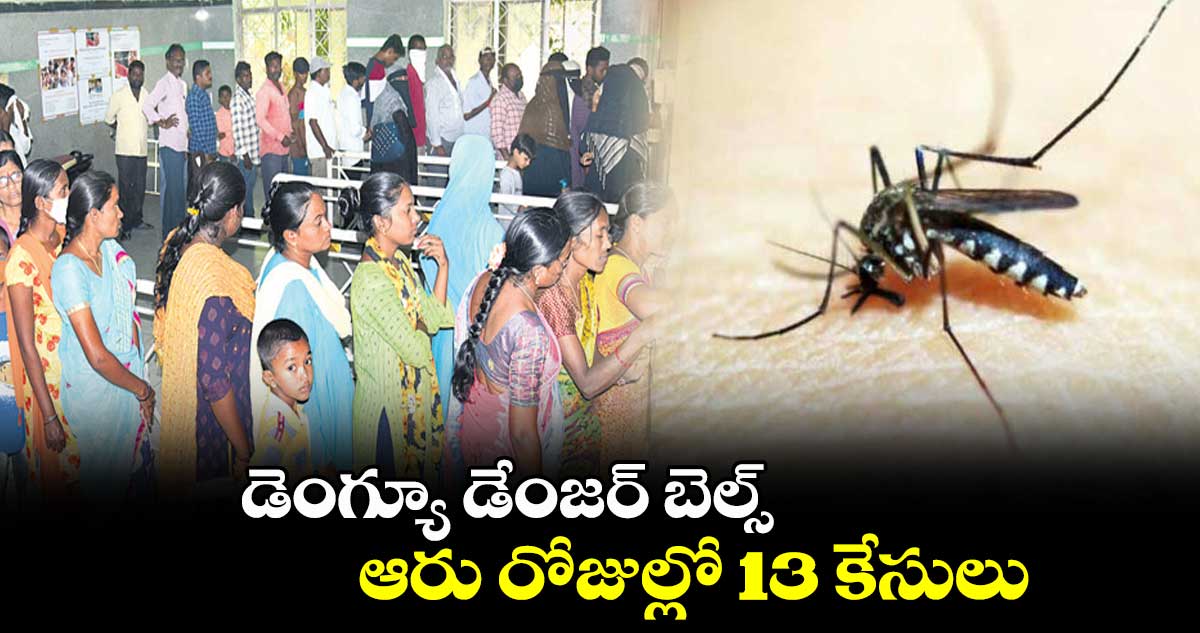 డెంగ్యూ డేంజర్ బెల్స్.. ఆరు రోజుల్లో 13 కేసులు