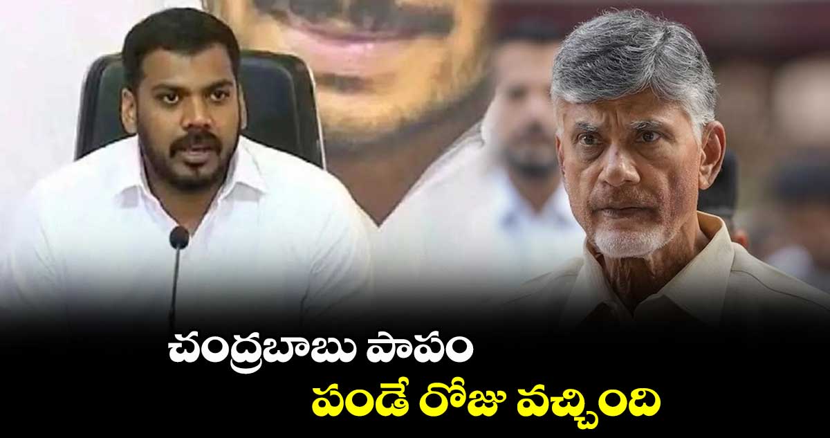 చంద్రబాబు  పాపం పండే రోజు వచ్చింది  : అనిల్ కుమార్ యాదవ్