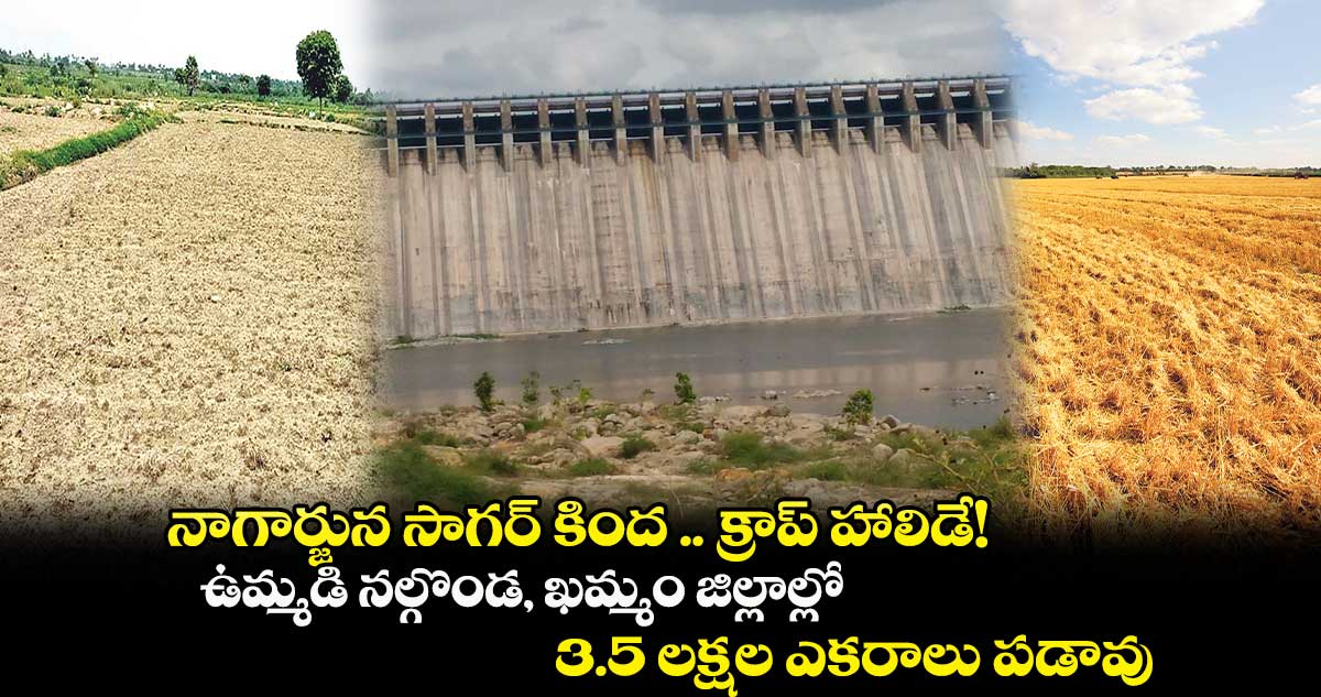 నాగార్జున సాగర్ కింద .. క్రాప్ హాలిడే! .