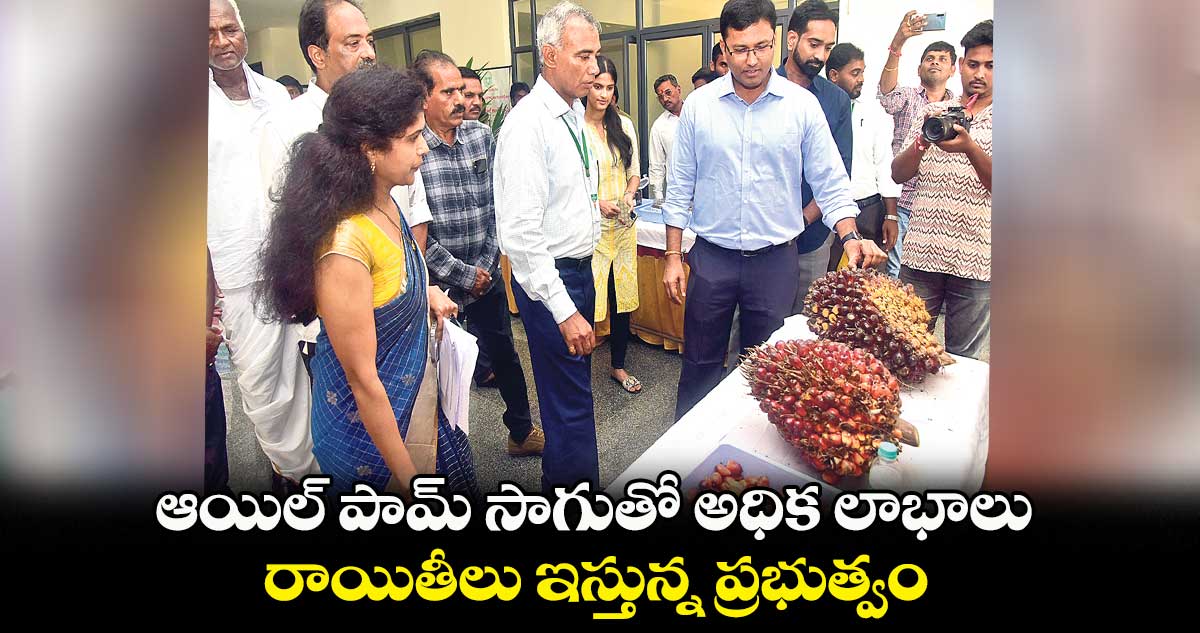 ఆయిల్ పామ్ సాగుతో అధిక లాభాలు.. రాయితీలు ఇస్తున్న ప్రభుత్వం