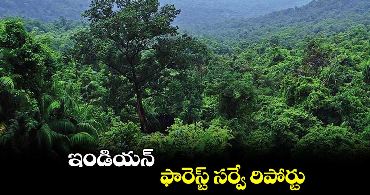 ఇండియన్​ ఫారెస్ట్​ సర్వే రిపోర్టు