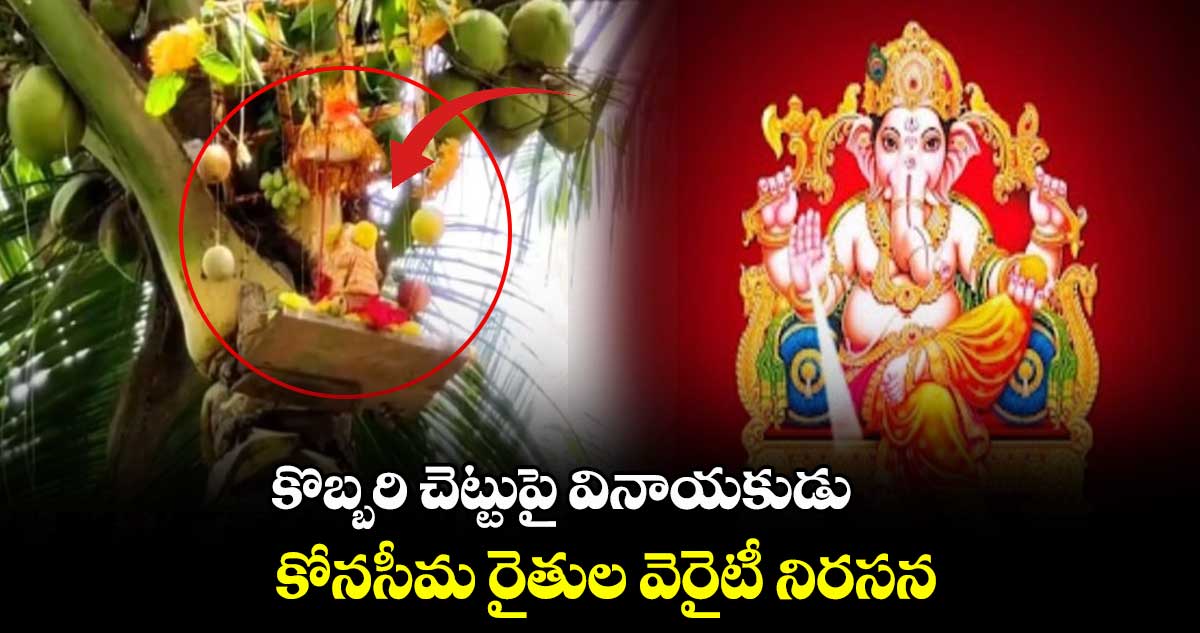 కొబ్బరి చెట్టుపై వినాయకుడు.. కోనసీమ రైతుల వెరైటీ నిరసన